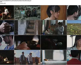 欧美精品v日韩精品v国产精品 - 蓝光免费观看