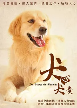 影视欧美综合国产 - 高清在线观看