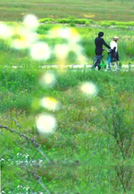 国产日产欧产美韩系列 - 720BD在线观看