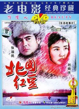 国内国外精品一区二区