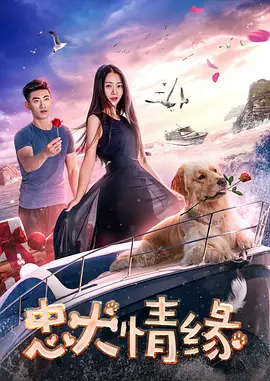 黄网站免费
