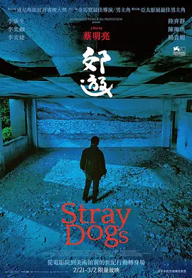欧美精品一区二区三区久久久精品