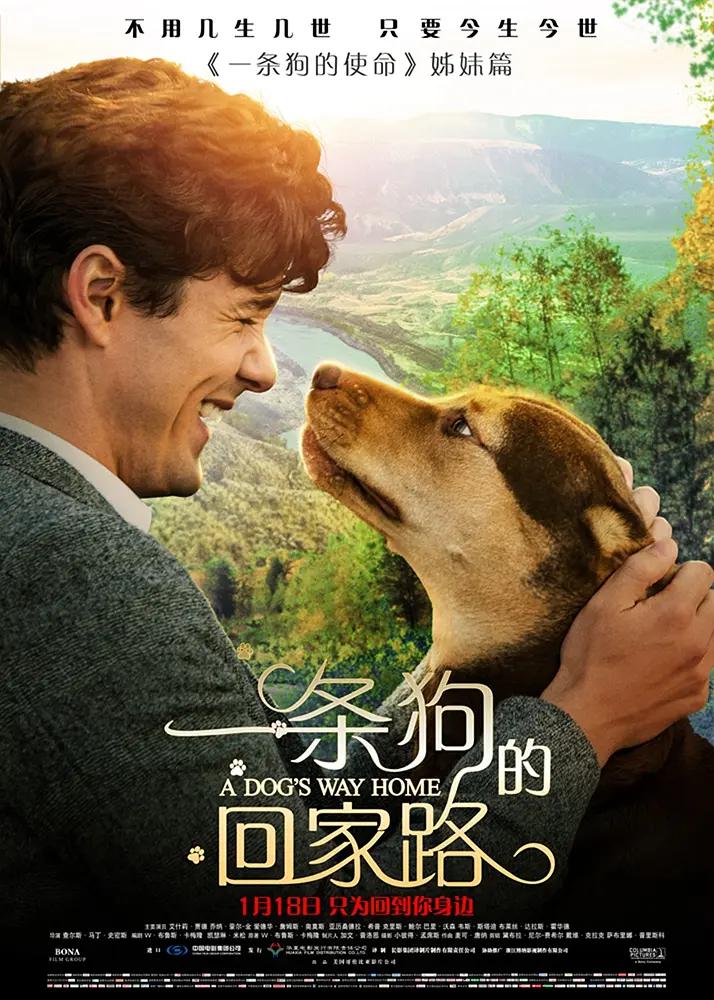 无码专区亚洲综合另类