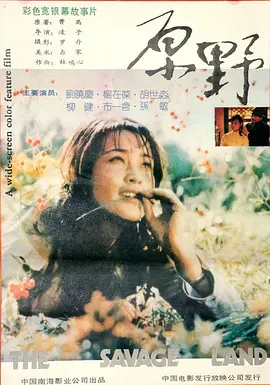 中日高清在线视频免费 - 1080PHD高清在线观看