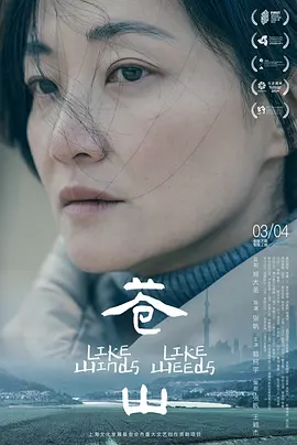97国产影视在线观看