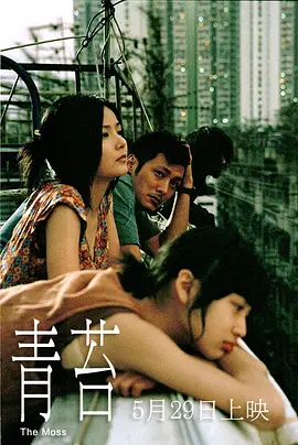 最好看的2018中文在线观看