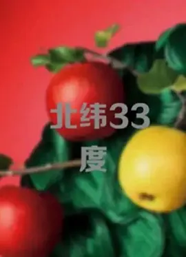 一区二区不卡在线视频