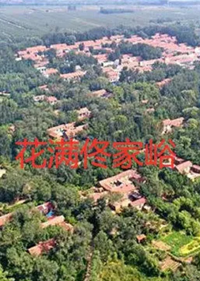 国产在线无码精品电影网