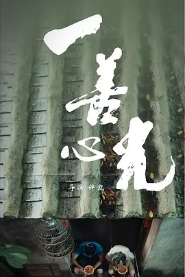 国产人成网在线播放va免费