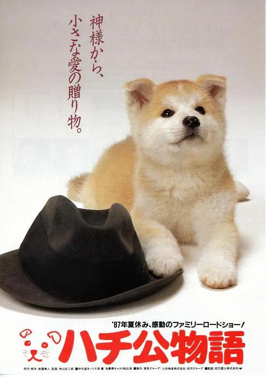 中文字幕日韩免费无码视频