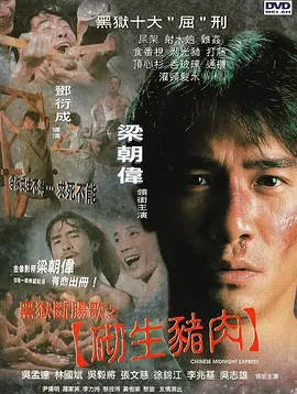 日韩激情视频在线观看