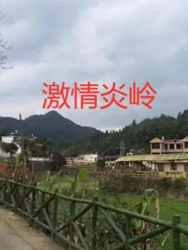 久久久精品日韩免费观看 - DVD在线手机播放