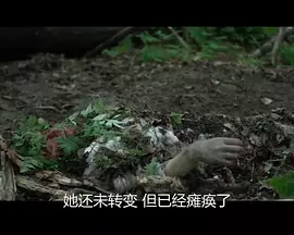 亚洲最大av无码国产 - BD英语高清完整版播放