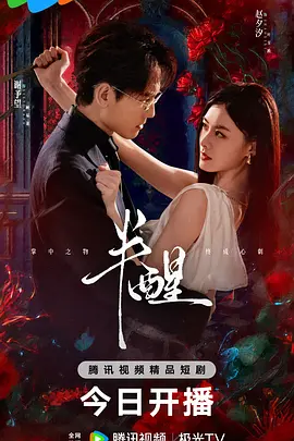一夜残欢完整版电影