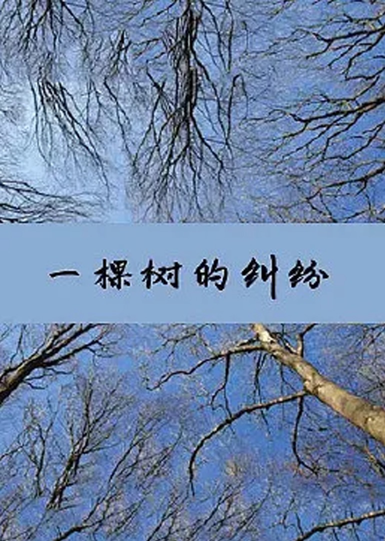 黄色无码在线观看