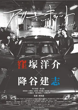 日韩精品极品视频在线观看免费 - 超清电影免费在线