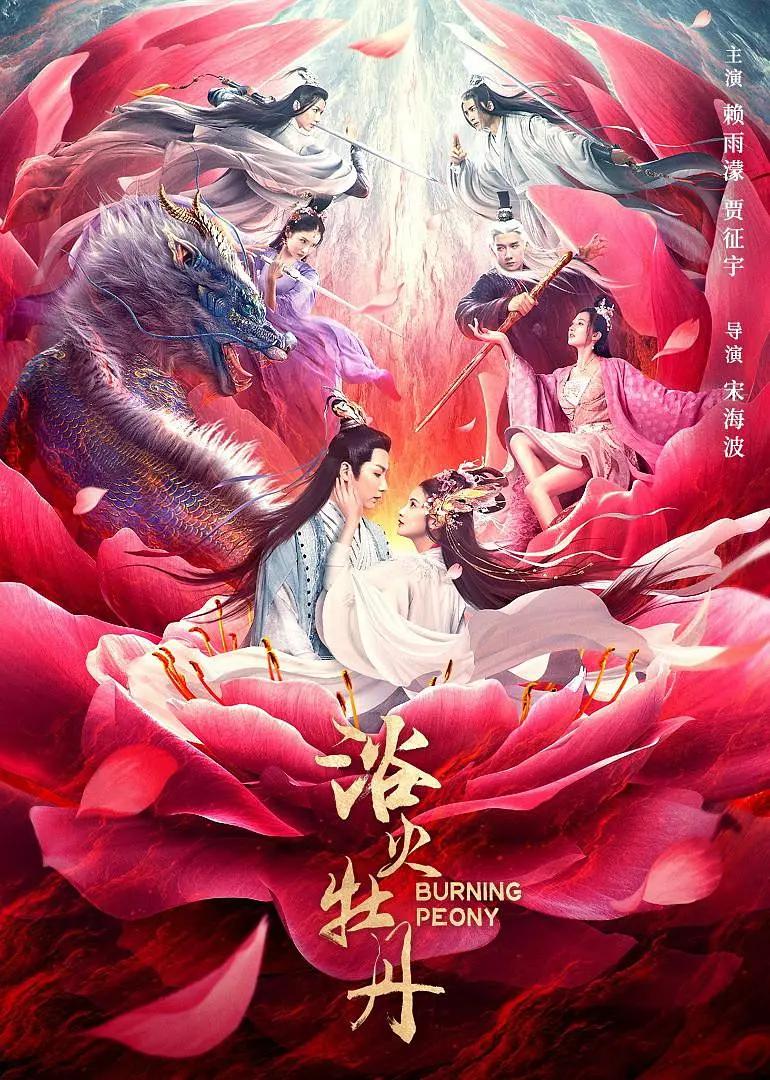 抖音黑森林