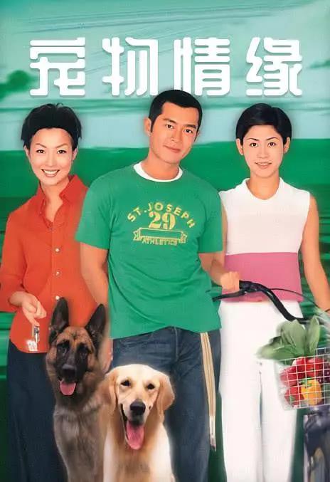 啦啦啦视频在线资源
