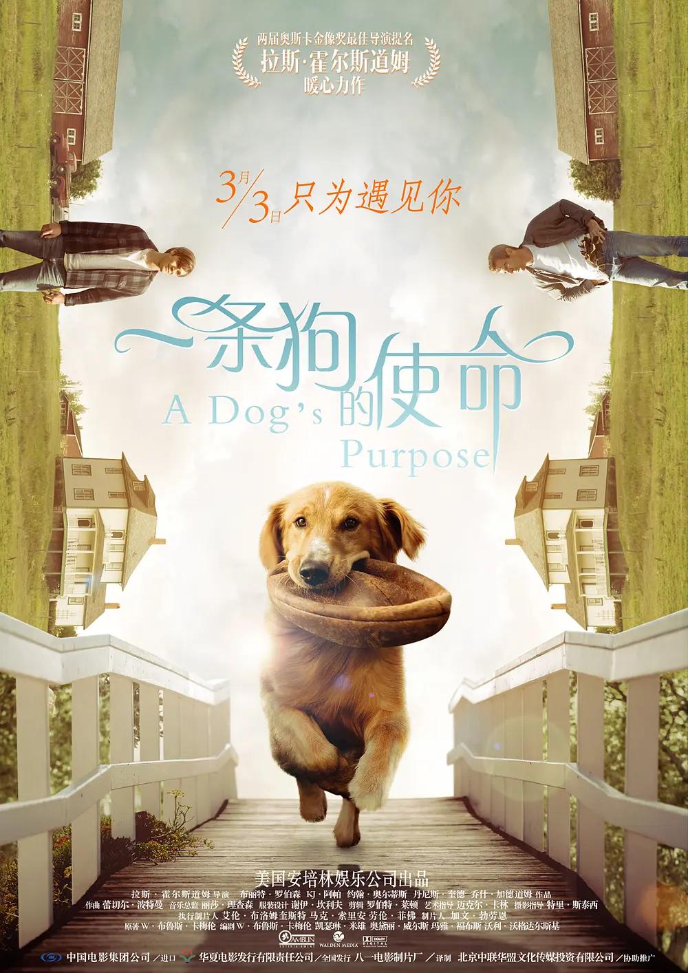 色欲AV精品一区