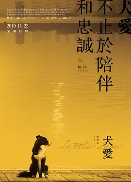 国产精品久久久久久äv福利