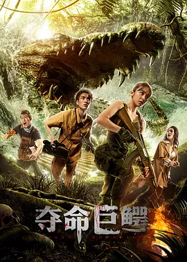 无码av不卡在线看dvd