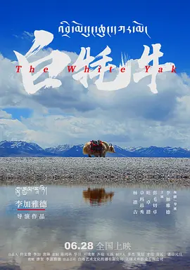 国产成人无码精品久久久免费