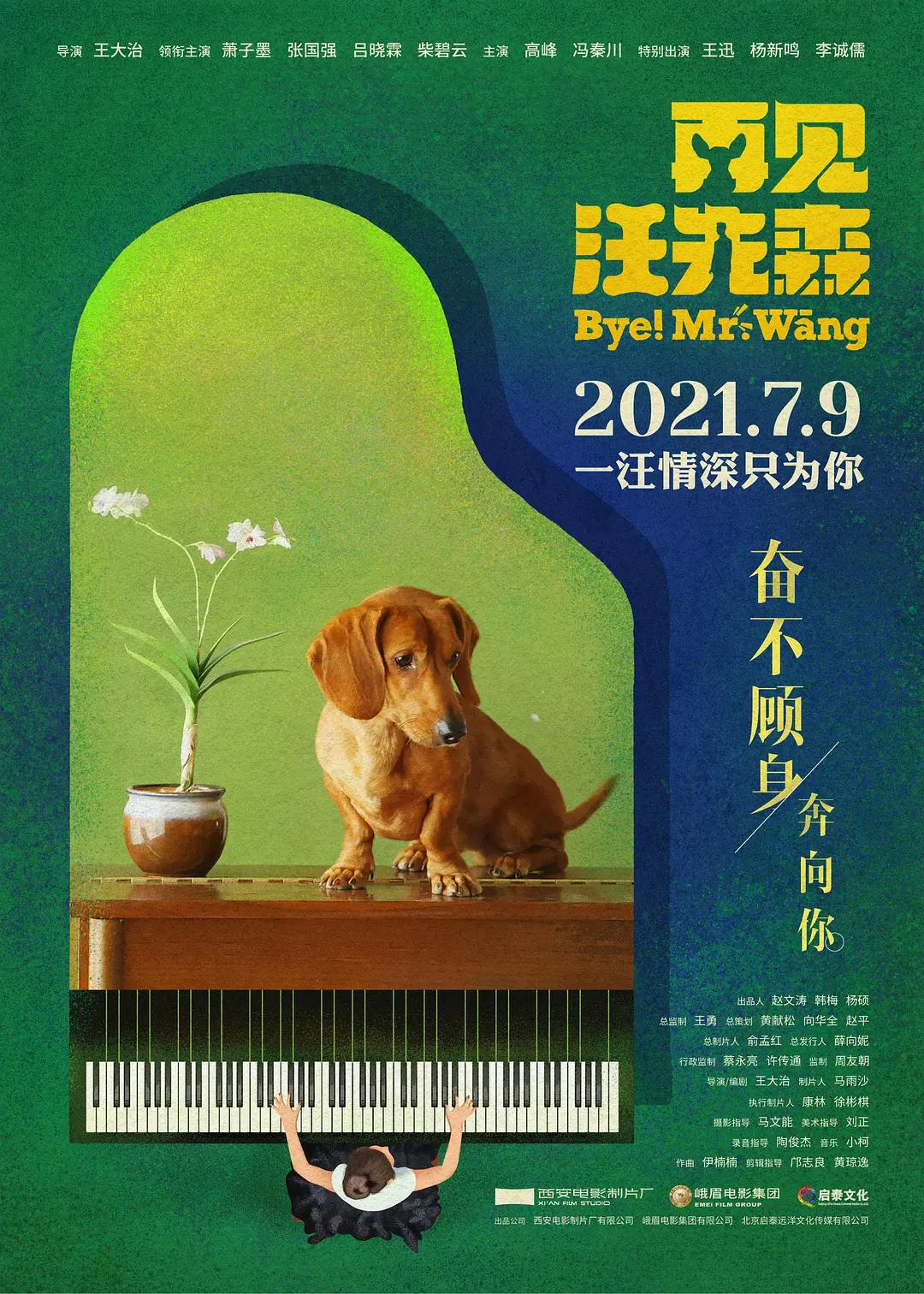99久久精品国产av