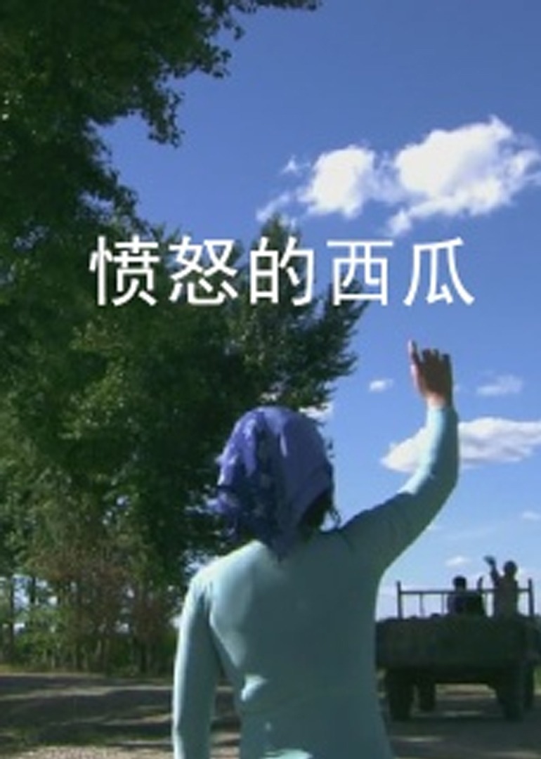 亚洲国产日韩精品一区二区
