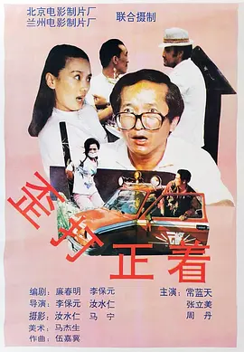 歪打正着1993